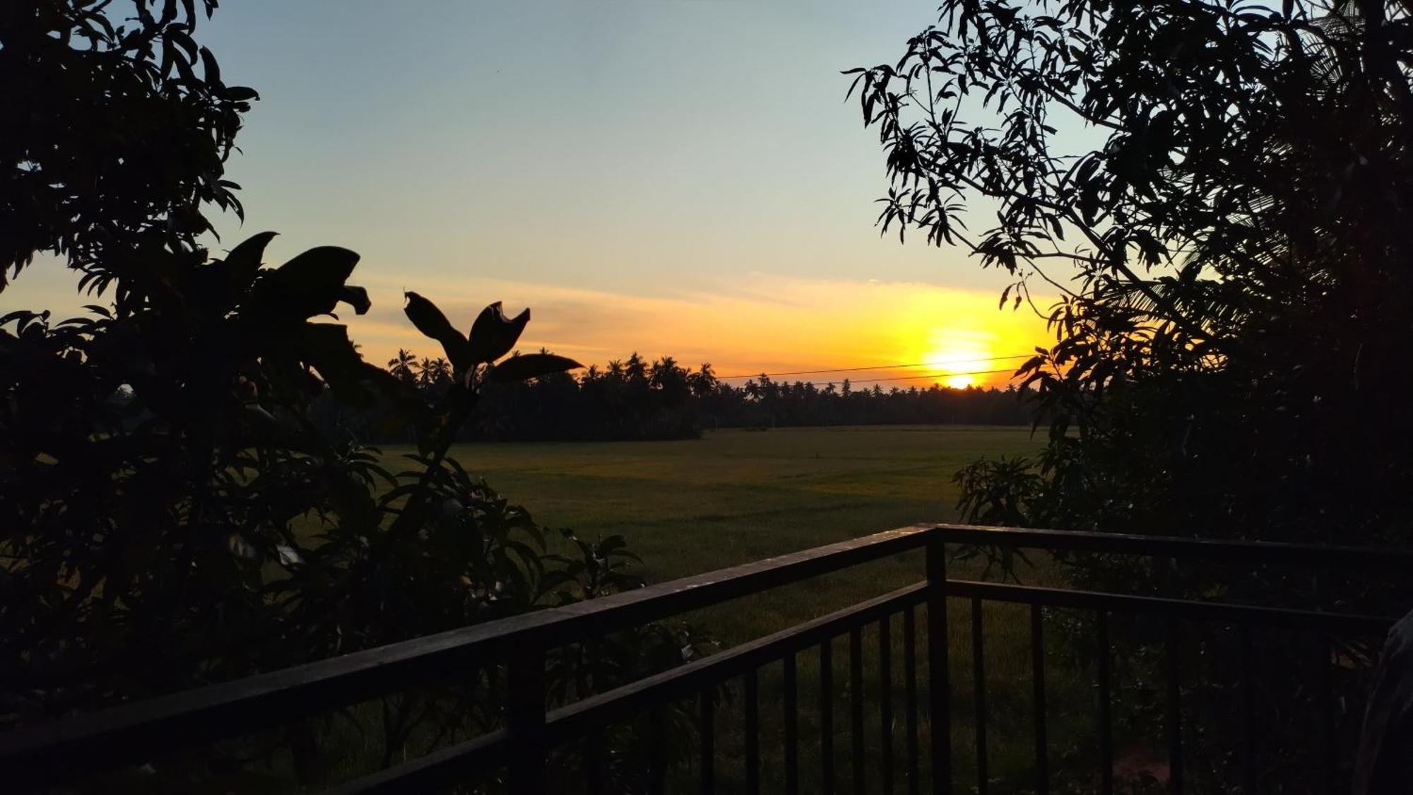 Village Mango Resort Yala Тисамахарама Екстериор снимка